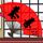 狼队发文回应